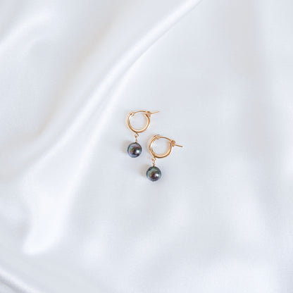 Tahitian Pearl Thick Hoops