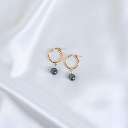 Tahitian Pearl Thick Hoops