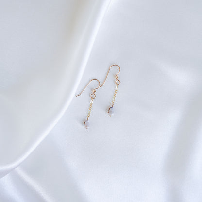 Gold chain dangle earrings with tiny white cone shell