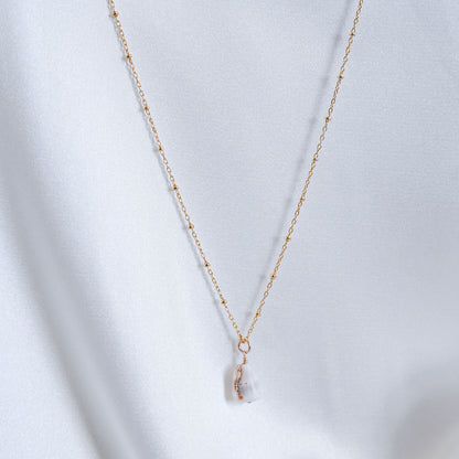 Simple Cone Shell Necklace