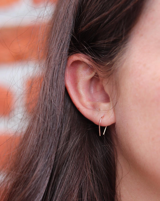 Horseshoe Earrings